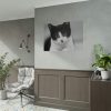 Bicolor Cat Poster