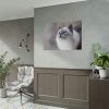 Closeup of a Blue Eyed Cat Poster