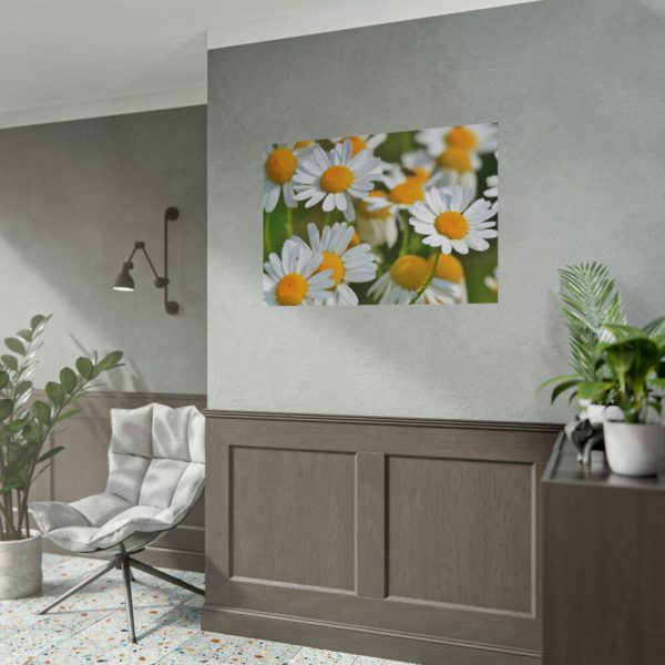 White Flowers Poster
