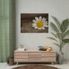 92409-295.jpg Daisy Family Poster