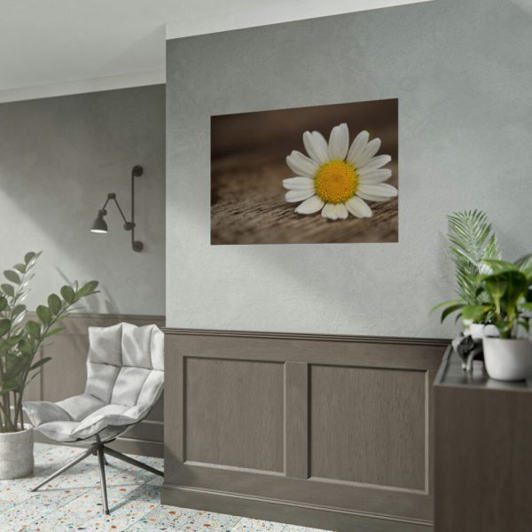 92409-296.jpg Daisy Family Poster