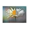 92409-297.jpg Flowering Plant Poster