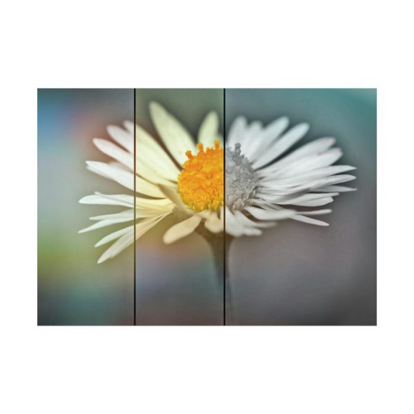 92409-297.jpg Flowering Plant Poster