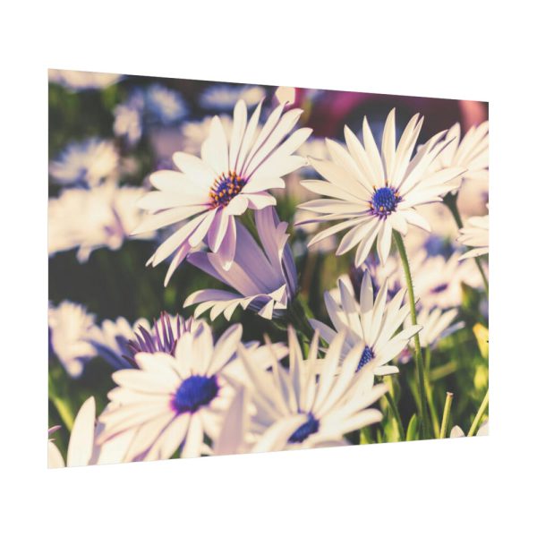 92409-309.jpg Flower Garden Poster