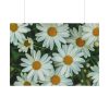 92409-313.jpg Blossom Daisy Poster