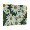 92409-314.jpg Blossom Daisy Poster