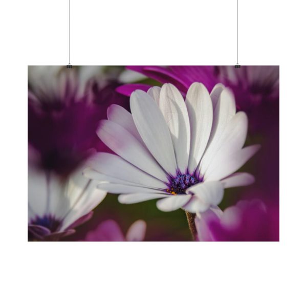 92409-318.jpg Flowering Plant Poster