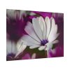 92409-319.jpg Flowering Plant Poster