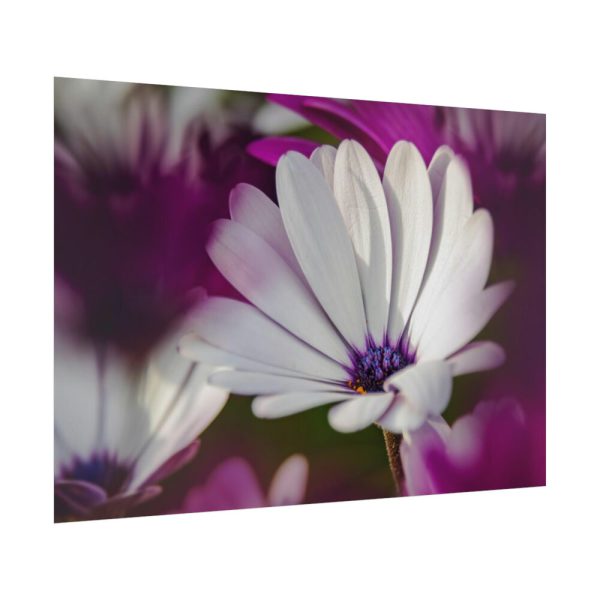 92409-319.jpg Flowering Plant Poster
