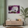 92409-320.jpg Flowering Plant Poster