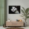 92409-325.jpg Bicolor Cat with Piercing Blue Eyes Poster