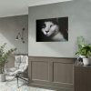 92409-326.jpg Bicolor Cat with Piercing Blue Eyes Poster