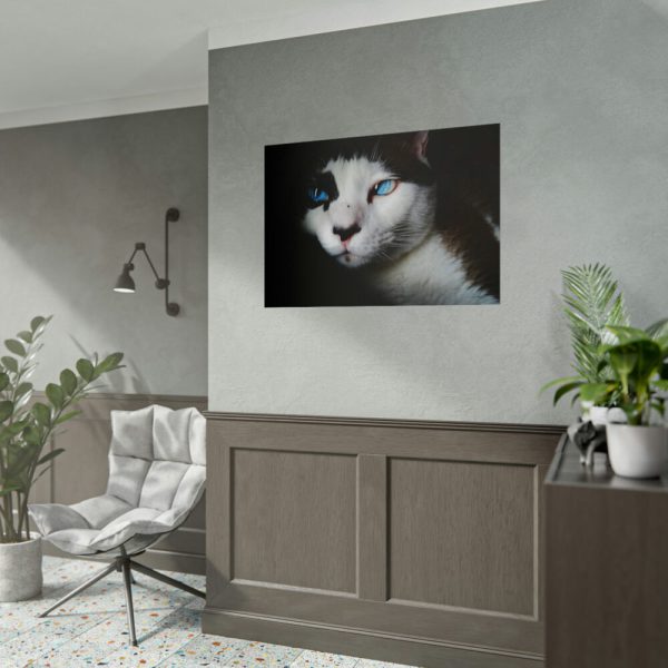 92409-326.jpg Bicolor Cat with Piercing Blue Eyes Poster