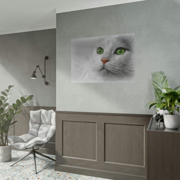 Beautiful Cat with Green Eyes Poster