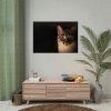 92409-335.jpg Cute Cat with Blue Eyes Poster
