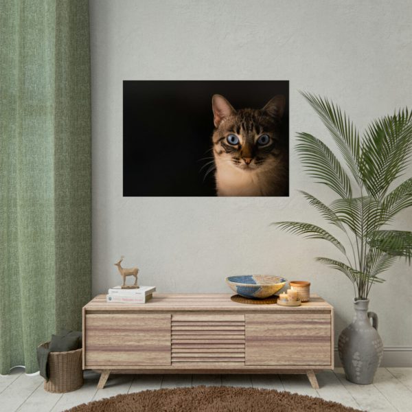 92409-335.jpg Cute Cat with Blue Eyes Poster