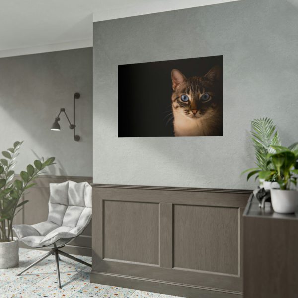 92409-336.jpg Cute Cat with Blue Eyes Poster