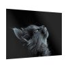 Cute Gray Cat Poster