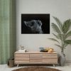 Cute Gray Cat Poster