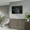 Cute Gray Cat Poster