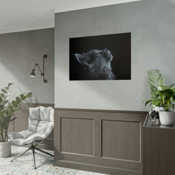 Cute Gray Cat Poster