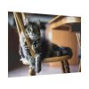 92409-344.jpg Beautiful Cat on Chair Poster