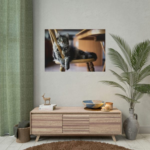 92409-345.jpg Beautiful Cat on Chair Poster