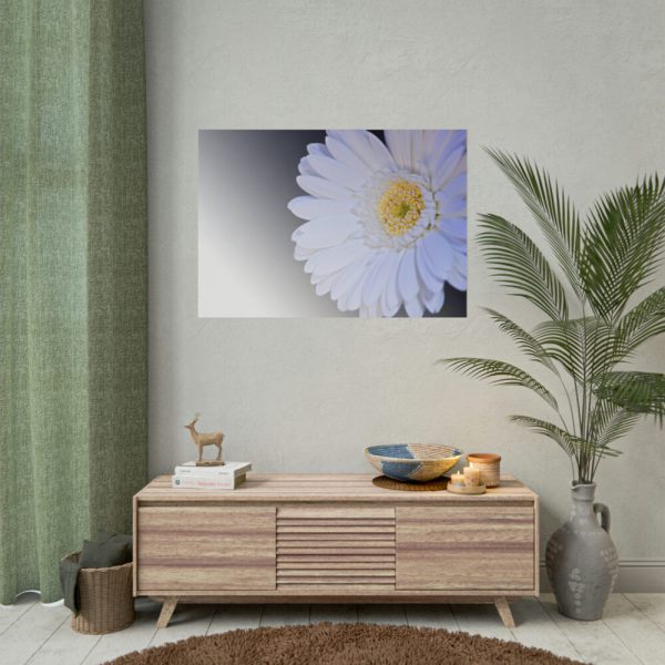 92409-350.jpg White Gerbera Poster