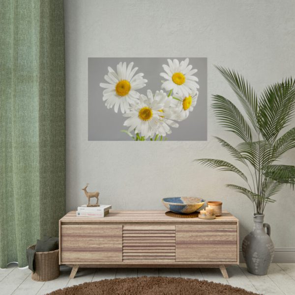 White Daisy Bloom Poster