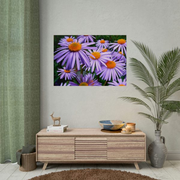 92409-360.jpg Wild Flower Poster