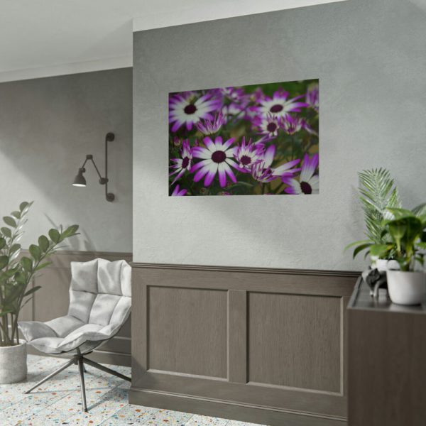 92409-366.jpg Purple Garden Cosmos Poster