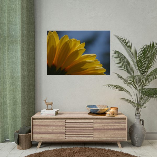 92409-370.jpg Daisy Gerbera Poster