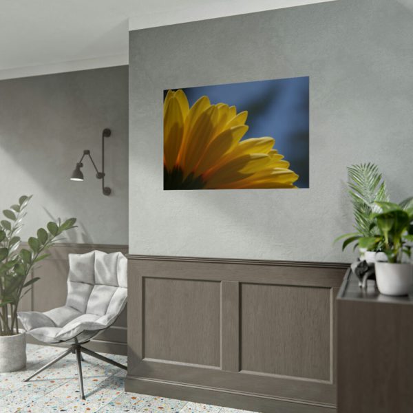 92409-371.jpg Daisy Gerbera Poster