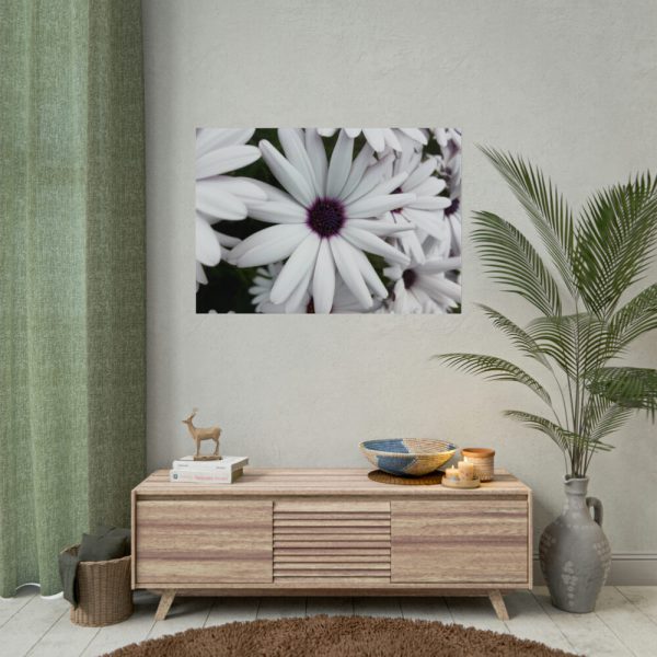 92409-375.jpg Flower Petal Poster