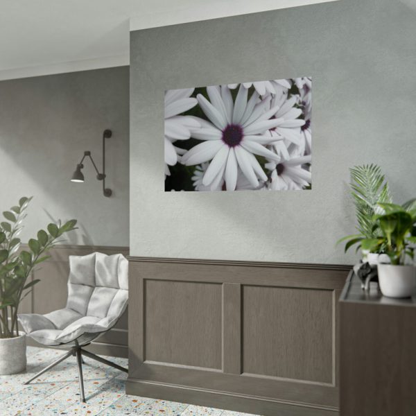 92409-376.jpg Flower Petal Poster