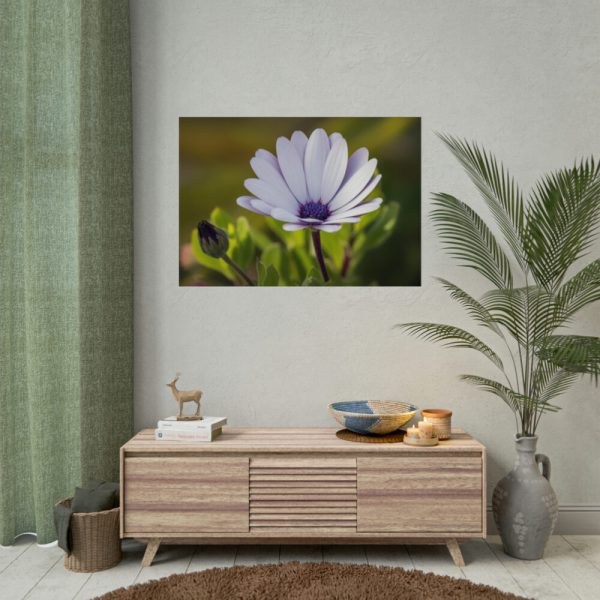 92409-390.jpg Herbaceous Plant Poster