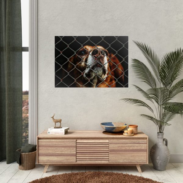 92409-4.jpg Dog Behind Wire Fence Poster