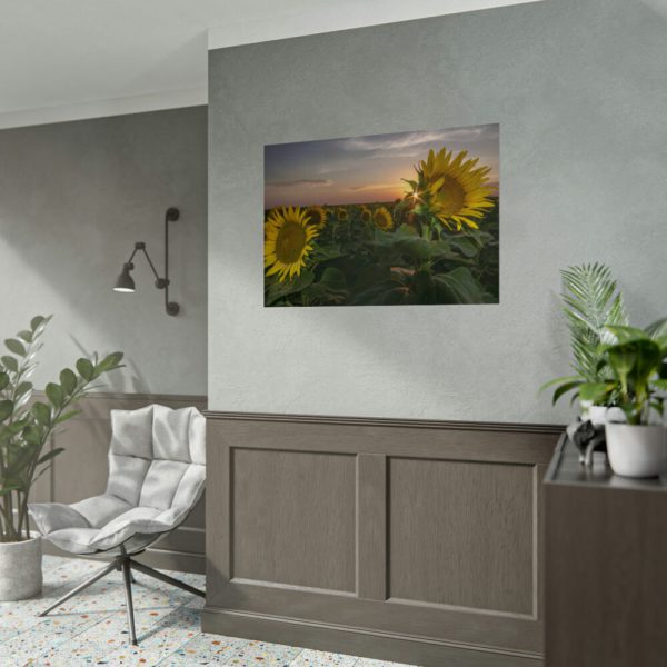 92409-426.jpg Sunflower Plant Flower Poster