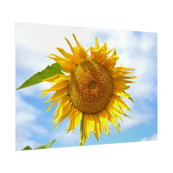 Farming Yellow Flowers  Poster