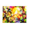 92409-45.jpg Butterfly Bokeh Magic Dream Poster