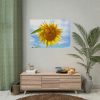 Farming Yellow Flowers  Poster