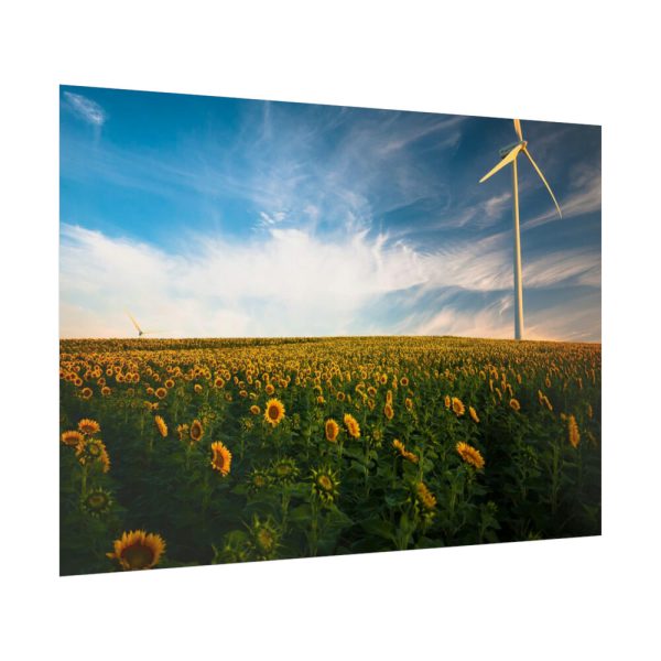 92409-459.jpg Meadow Poster