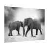 92409-474.jpg Elephant Ivory Animals Africa Poster