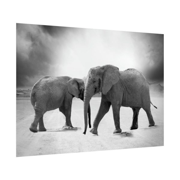 92409-474.jpg Elephant Ivory Animals Africa Poster