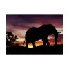 Elephant and Sunset in Africa Poster