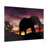 Elephant and Sunset in Africa Poster