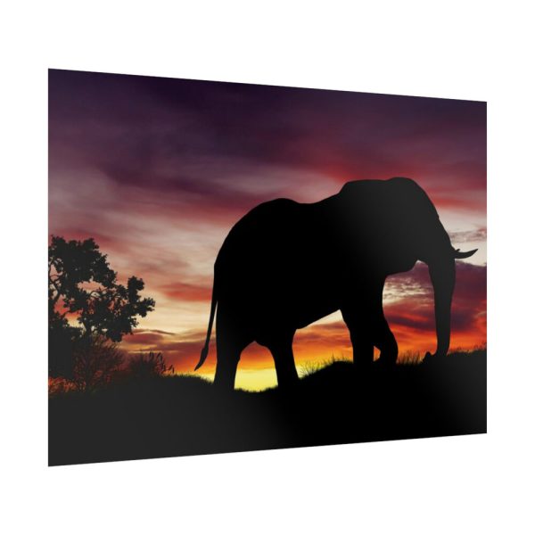 Elephant and Sunset in Africa Poster