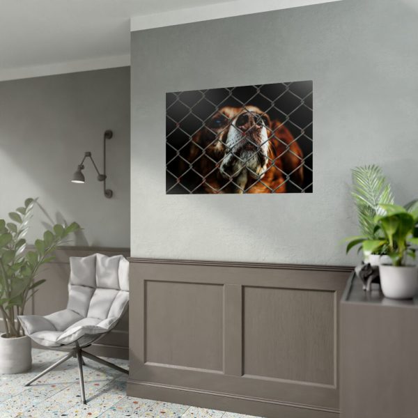 92409-5.jpg Dog Behind Wire Fence Poster