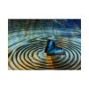 92409-51.jpg Butterfly on Collage Rings Poster