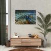 92409-52.jpg Butterfly on Collage Rings Poster